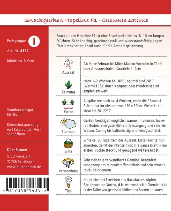 Snackgurken Hopeline F1 (Treibgurke/ Hausgurke), Knackig Geschmackvoll Und Widerstandsfähig 4 Snackgurken Hopeline F1 (Treibgurke/ Hausgurke), Knackig Geschmackvoll Und Widerstandsfähig – Bild 2