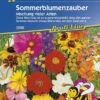 Sommerblumen-Zauber Mischung Vieler Arten -Samenshop24 Elegant Boutique sommerblumen zauber mischung vieler arten