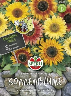 Sonnenblume, Farbenpracht Mischung, Wochenlange Blüte Mehrblütig -Samenshop24 Elegant Boutique sonnenblume farbenpracht mischung