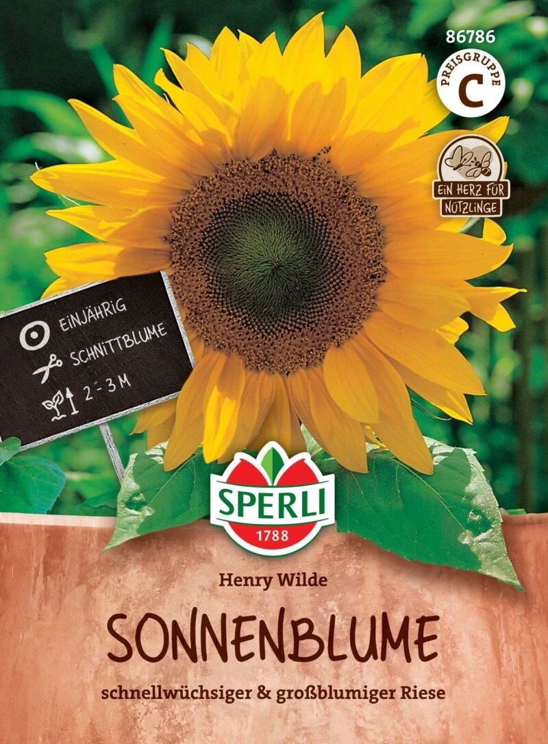 Sonnenblume Henry Wilde Schnellwachsend Und Großblumig 3 Sonnenblume Henry Wilde Schnellwachsend Und Großblumig