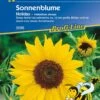 Sonnenblume Holiday | Zahlreiche Ca. 15 Cm Große Blüten | Gute Schnittblume Für Vase -Samenshop24 Elegant Boutique sonnenblume holiday 1