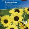 Sonnenblume Soluna Lemon, Blühfreudige Gut Verzweigte Beet- Und Schnittblume, Ideal Für Kübel 1 Sonnenblume Soluna Lemon, Blühfreudige Gut Verzweigte Beet- Und Schnittblume, Ideal Für Kübel -Samenshop24 Elegant Boutique sonnenblume soluna lemon 1