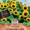 Sonnenblume SPERLI's Gigant, Nektarspender, Blühender Sichtschutz, Bis 4 Meter Wuchshöhe -Samenshop24 Elegant Boutique sonnenblume sperlis gigant