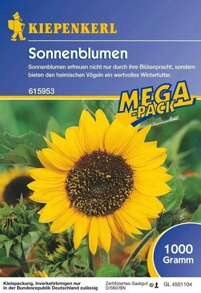 Sonnenblumen Feldsonnenblumen 1kg, Bieten Blütenpracht Und Wertvolles Winterfutter 3 Sonnenblumen Feldsonnenblumen 1kg, Bieten Blütenpracht Und Wertvolles Winterfutter