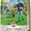 SPERLI's Rasen + Dünger, 1 Kg Für Ca. 25 M², Mischung Aus Nachsaatrasen Und Organischem Dünger 1 SPERLI's Rasen + Dünger, 1 Kg Für Ca. 25 M², Mischung Aus Nachsaatrasen Und Organischem Dünger -Samenshop24 Elegant Boutique sperlis rasen und duenger 1kg