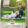 SPERLI's Schattenrasen (umhüllt), Höchste Schattentoleranz Dank Poa Supina 1 SPERLI's Schattenrasen (umhüllt), Höchste Schattentoleranz Dank Poa Supina -Samenshop24 Elegant Boutique sperlis schattenrasen umhuellt