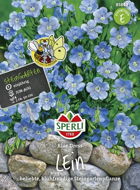 Staudenlein Blue Dress 4 Staudenlein Blue Dress – Bild 2