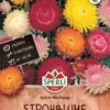 Strohblume Koloss Mischung, Ideale Trockenblume Mit Langer Blütezeit, Schnittblume, Sperli Saatgut -Samenshop24 Elegant Boutique strohblume koloss mischung