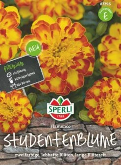 Tagetes Flamenco, Zweifarbige Lebhafte Blüten Mit Langer Blütezeit, Kübelgeeignet -Samenshop24 Elegant Boutique tagetes flamenco