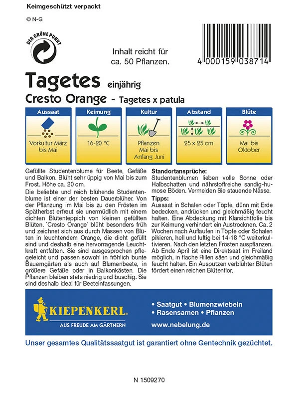 Tagetes Patula Cresto Orange 4 Tagetes Patula Cresto Orange – Bild 2