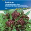 Thaibasilikum Siam Queen, Blühendes Wurzelkraut, Für Balkon Terrasse Und Kräutergarten