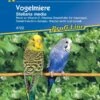 Vogelmiere, Frisches Zusatzfutter Für Ziervögel, Enthält Viel Vitamin C Und Mineralien -Samenshop24 Elegant Boutique vogelmiere 10