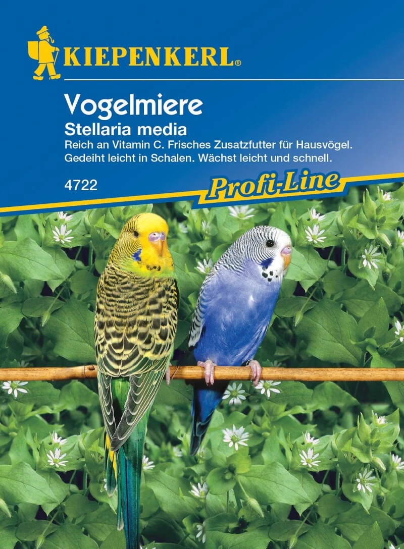 Vogelmiere, Frisches Zusatzfutter Für Ziervögel, Enthält Viel Vitamin C Und Mineralien 3 Vogelmiere, Frisches Zusatzfutter Für Ziervögel, Enthält Viel Vitamin C Und Mineralien