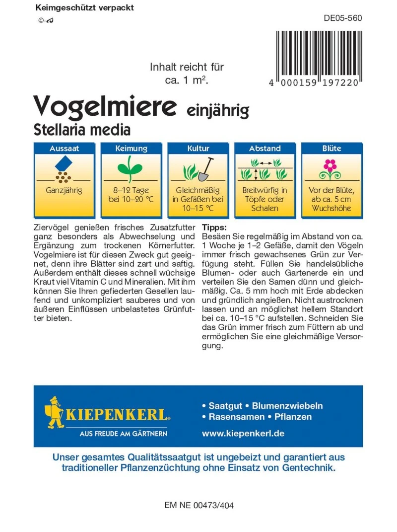 Vogelmiere, Frisches Zusatzfutter Für Ziervögel, Enthält Viel Vitamin C Und Mineralien 4 Vogelmiere, Frisches Zusatzfutter Für Ziervögel, Enthält Viel Vitamin C Und Mineralien – Bild 2