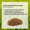 Samenshop24® Wiesenlieschgras Phleum Pratense | 1 Kg Für Ca. 660 M² | Ausdauerndes Ganzjähriges Gras -Samenshop24 Elegant Boutique wiesenlieschgras phleum pratense 1 kg2