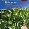 Winterkresse (Barbarakraut), Optimale Vitaminspender In Der Kalten Jahreszeit, Passt Gut In Salate Zu Kräuterquark Oder Aufs Brot -Samenshop24 Elegant Boutique winterkresse barbarakraut optimale vitaminspender in der kalten jahreszeit passt gut in salate zu kraeuterquark oder aufs brot