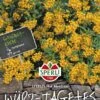 Würz- Tagetes SPERLING´s Hot Mexican 1 Würz- Tagetes SPERLING´s Hot Mexican -Samenshop24 Elegant Boutique wuerz tagetes sperlings hot mexican