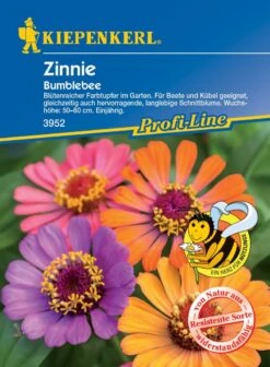 Zinnie Bumblebee, Blütenreicher Farbtupfer, Für Beete Und Kübel, Gute Schnittblume, Nektarspender