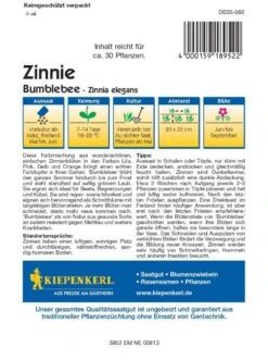 Samenshop24 Elegant Boutique -Samenshop24 Elegant Boutique zinnie bumblebee 12