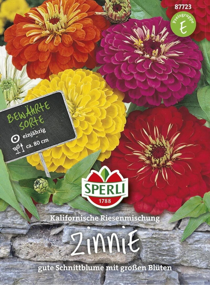 Zinnie Kalifornische Riesenmischung, Gute Schnittblume Mit Großen Blüten 3 Zinnie Kalifornische Riesenmischung, Gute Schnittblume Mit Großen Blüten