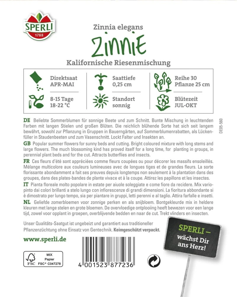 Zinnie Kalifornische Riesenmischung, Gute Schnittblume Mit Großen Blüten 4 Zinnie Kalifornische Riesenmischung, Gute Schnittblume Mit Großen Blüten – Bild 2