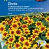 Zinnie Profusion Red & Yellow 1 Zinnie Profusion Red & Yellow -Samenshop24 Elegant Boutique zinnie profusion ry