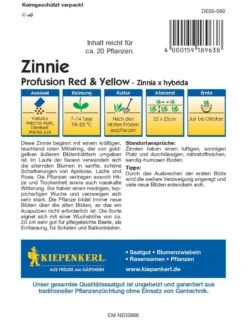 Zinnie Profusion Red & Yellow -Samenshop24 Elegant Boutique zinnie profusion ry2