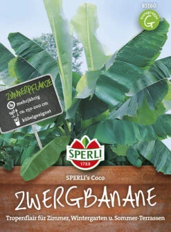 Zwergbanane Musa Velutina SPERLING´s Coco -Samenshop24 Elegant Boutique zwergbanane musa velutina sperlings coco