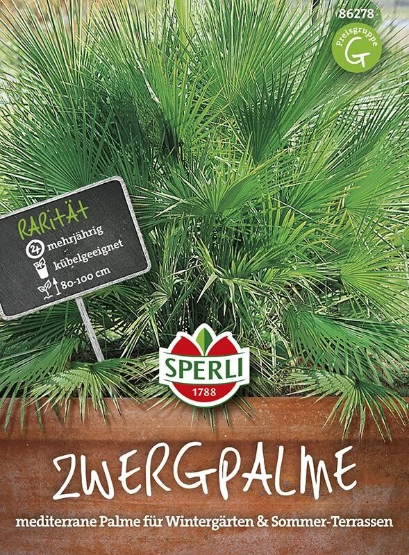Zwergpalme SPERLING`s Tropenzauber 3 Zwergpalme SPERLING`s Tropenzauber